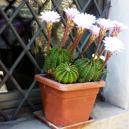 Con Vista Alojamento de Acomodação e Pequeno-almoço Fossombrone