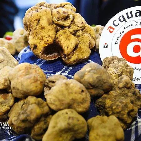 Con Vista Alojamento de Acomodação e Pequeno-almoço 3*